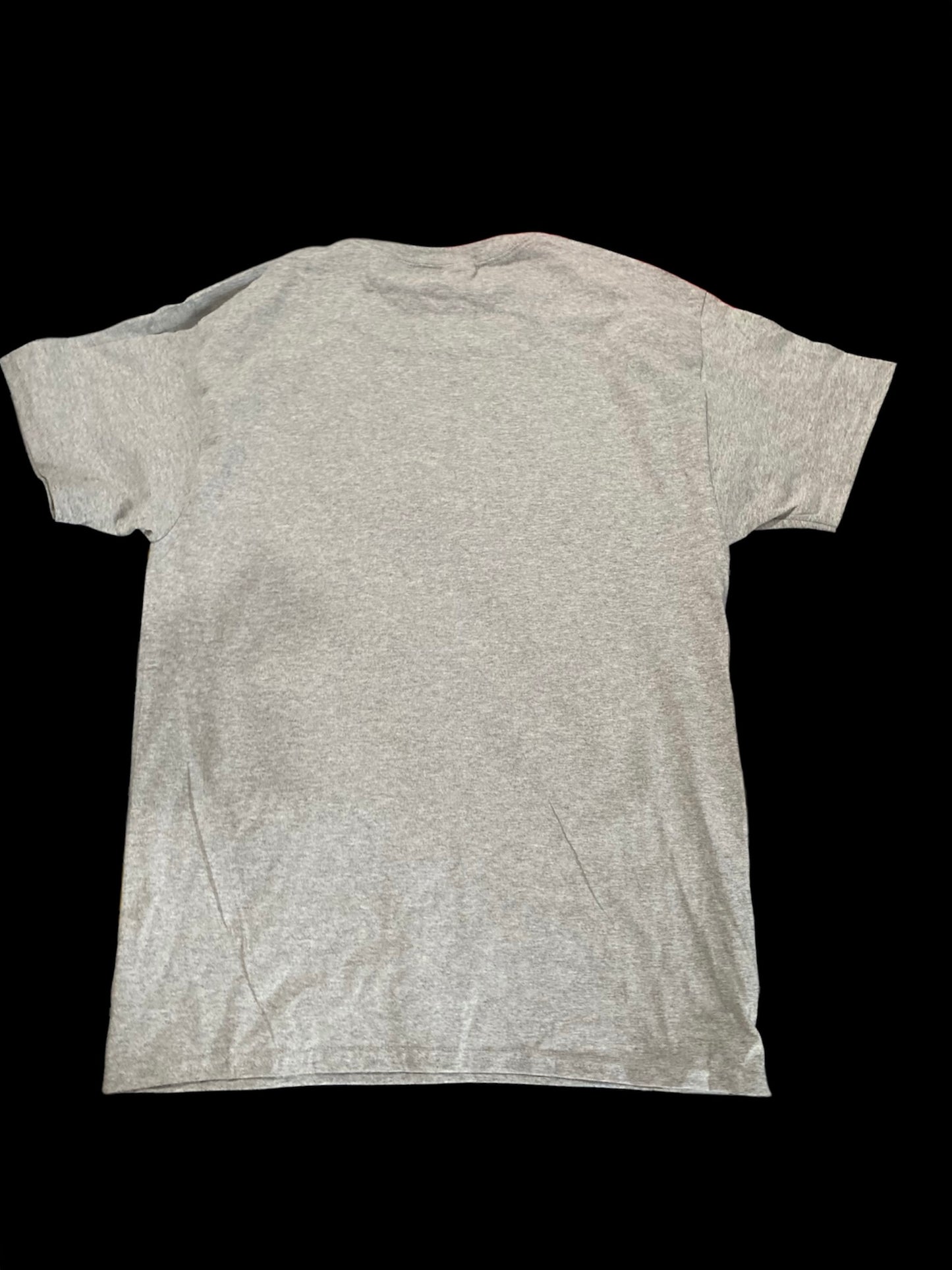 Gray and Midnight black Scenic t-shirts